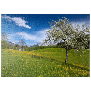 puzzleplate Frühlingswiese in Gerold gegen Wörner (2476m) und Tiefkarspitze (2430m) bei Mittenwald, Oberbayern 500 Puzzle