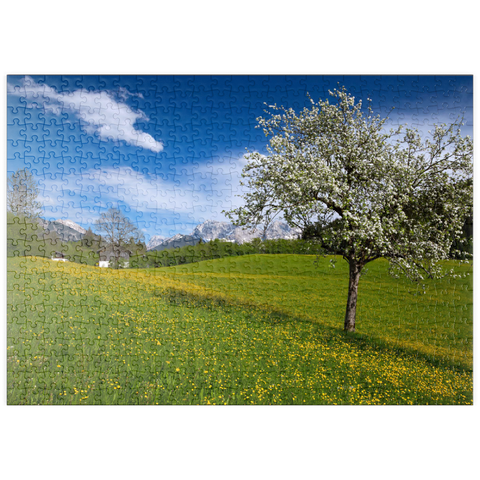 puzzleplate Frühlingswiese in Gerold gegen Wörner (2476m) und Tiefkarspitze (2430m) bei Mittenwald, Oberbayern 500 Puzzle