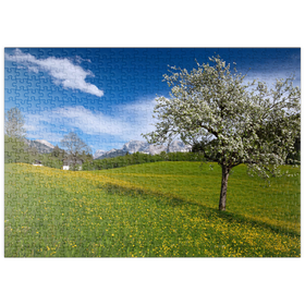Darstellung des Puzzle Motivs Frühlingswiese in Gerold gegen Wörner und Tiefkarspitze bei Mittenwald, Oberbayern - Puzzleteile: 500