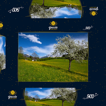 Frühlingswiese in Gerold gegen Wörner (2476m) und Tiefkarspitze (2430m) bei Mittenwald, Oberbayern 500 Puzzle Schachtel 3D Modell