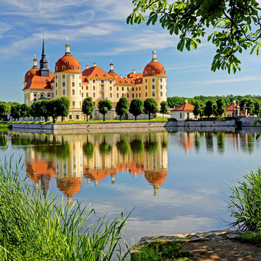 Schloss Moritzburg bei Dresden, Sachsen, Deutschland 100 Puzzle 3D Modell