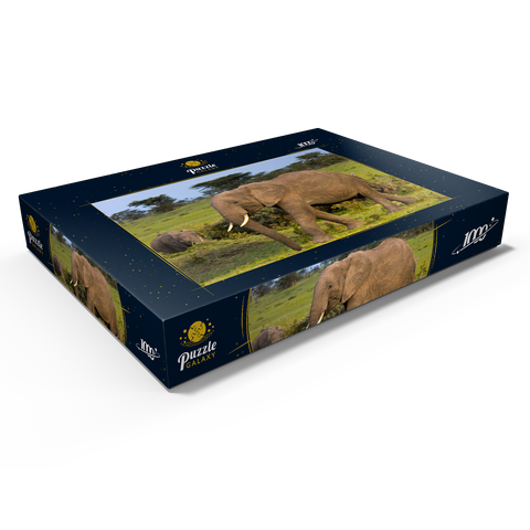 Masai Mara, Kenia, Elefanten 1000 Puzzle Schachtel Ansicht1