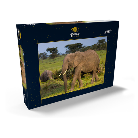 Masai Mara, Kenia, Elefanten 1000 Puzzle Schachtel Ansicht2