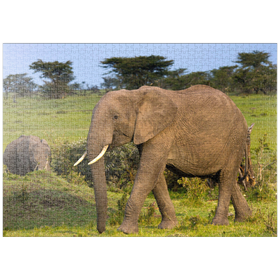 Darstellung des Puzzle-Motivs Masai Mara, Kenia, Elefanten – Puzzleteile: 1000