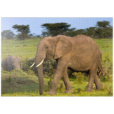 puzzleplate Masai Mara, Kenia, Elefanten 1000 Puzzle