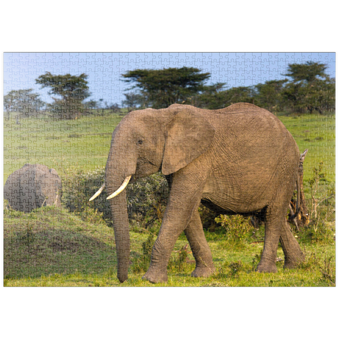 puzzleplate Masai Mara, Kenia, Elefanten 1000 Puzzle
