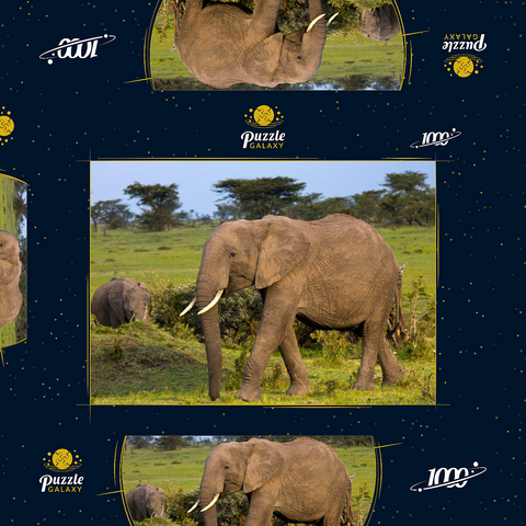 Masai Mara, Kenia, Elefanten 1000 Puzzle Schachtel 3D Modell