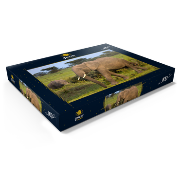 Masai Mara, Kenia, Elefanten 100 Puzzle Schachtel Ansicht1