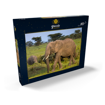 Masai Mara, Kenia, Elefanten 100 Puzzle Schachtel Ansicht2
