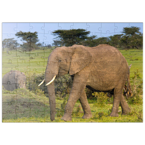 puzzleplate Masai Mara, Kenia, Elefanten 100 Puzzle