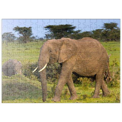 puzzleplate Masai Mara, Kenia, Elefanten 200 Puzzle