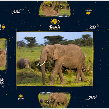 Masai Mara, Kenia, Elefanten 200 Puzzle Schachtel 3D Modell