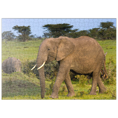 puzzleplate Masai Mara, Kenia, Elefanten 500 Puzzle