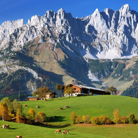Bauernhaus bei Kitzbühel mit Kaisergebirge, Tirol, Österreich 100 Puzzle 3D Modell