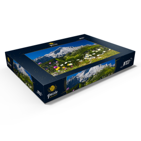 Alternative Darstellung des Puzzle-Motivs Blick vom Kreuzjoch (1719m) zur Hochalm gegen Alpspitze (2628m) mit Margeriten – Puzzleteile: 1000