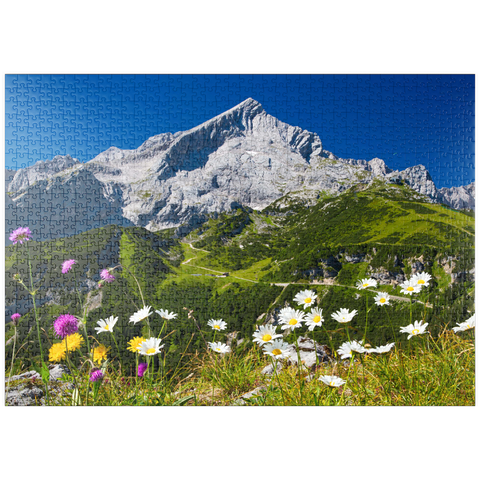 puzzleplate Blick vom Kreuzjoch (1719m) zur Hochalm gegen Alpspitze (2628m) mit Margeriten 1000 Puzzle