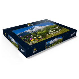 Darstellung des Puzzle Motivs Blick vom Kreuzjoch (1719m) zur Hochalm gegen Alpspitze (2628m) mit Margeriten - Puzzleteile: 100