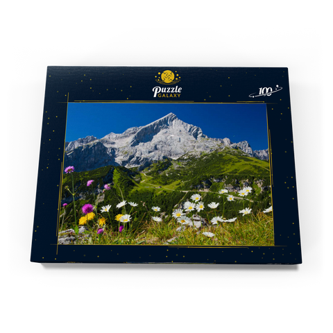 Blick vom Kreuzjoch (1719m) zur Hochalm gegen Alpspitze (2628m) mit Margeriten 100 Puzzle Schachtel Ansicht3