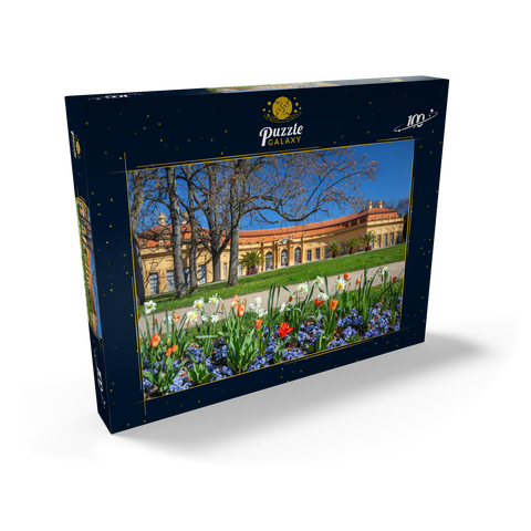 Schlossgarten mit der Orangerie im Frühling zur Zeit der Tulpenblüte 100 Puzzle Schachtel Ansicht2