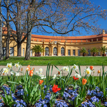Schlossgarten mit der Orangerie im Frühling zur Zeit der Tulpenblüte 200 Puzzle 3D Modell