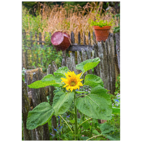 Darstellung des Puzzle Motivs Bauerngarten am Forsthaus Adlgaß in Inzell, Oberbayern - Puzzleteile: 1000