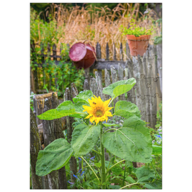 Darstellung des Puzzle Motivs Bauerngarten am Forsthaus Adlgaß in Inzell, Oberbayern - Puzzleteile: 100