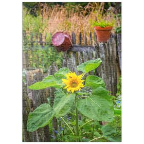 Darstellung des Puzzle Motivs Bauerngarten am Forsthaus Adlgaß in Inzell, Oberbayern - Puzzleteile: 200