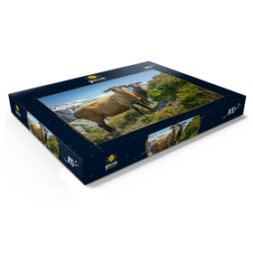 Darstellung des Puzzle Motivs Braunes Bergschaf im Wandergebiet Aletschregion, Aletschgebiet - Puzzleteile: 100
