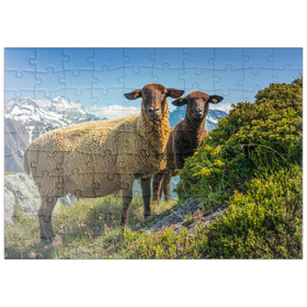 Darstellung des Puzzle Motivs Braunes Bergschaf im Wandergebiet Aletschregion, Aletschgebiet - Puzzleteile: 100
