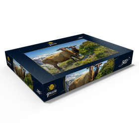 Alternative Darstellung des Puzzle-Motivs Braunes Bergschaf im Wandergebiet Aletschregion, Aletschgebiet – Puzzleteile: 500