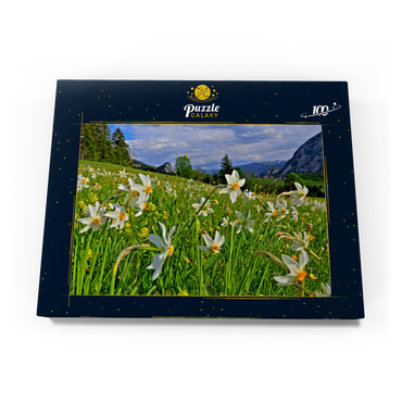 Blühende Narzissenwiese, Tauplitz, Salzkammergut, Steiermark, Österreich 100 Puzzle Schachtel Ansicht3