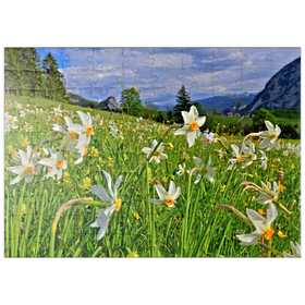 Darstellung des Puzzle Motivs Blühende Narzissenwiese, Tauplitz, Salzkammergut, Steiermark, Österreich - Puzzleteile: 100