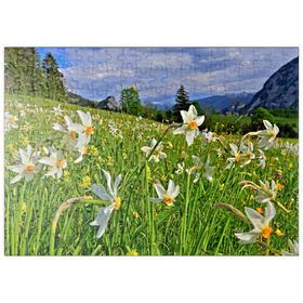 Darstellung des Puzzle-Motivs Blühende Narzissenwiese, Tauplitz, Salzkammergut, Steiermark, Österreich – Puzzleteile: 200