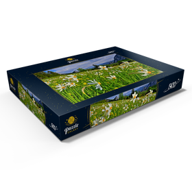Alternative Darstellung des Puzzle-Motivs Blühende Narzissenwiese, Tauplitz, Salzkammergut, Steiermark, Österreich – Puzzleteile: 500