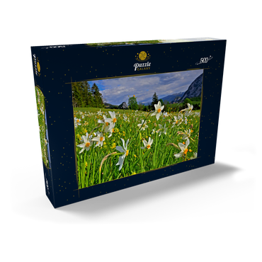 Blühende Narzissenwiese, Tauplitz, Salzkammergut, Steiermark, Österreich 500 Puzzle Schachtel Ansicht2