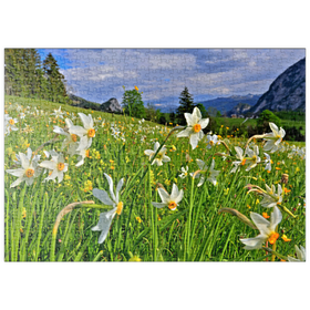 Darstellung des Puzzle-Motivs Blühende Narzissenwiese, Tauplitz, Salzkammergut, Steiermark, Österreich – Puzzleteile: 500