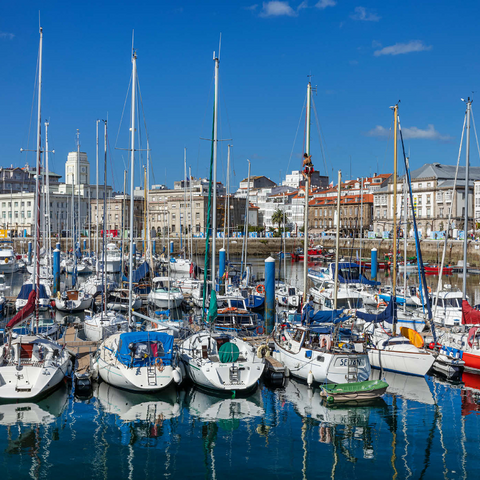 Alter Hafen von A Coruña, Camino Inglés, Jakobsweg Camino de Santiago 1000 Puzzle 3D Modell