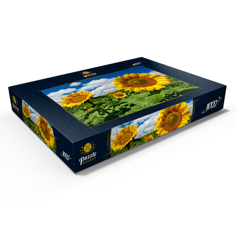 Sonnenblumenfeld 1000 Puzzle Schachtel Ansicht1
