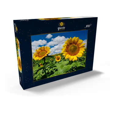Sonnenblumenfeld 1000 Puzzle Schachtel Ansicht2