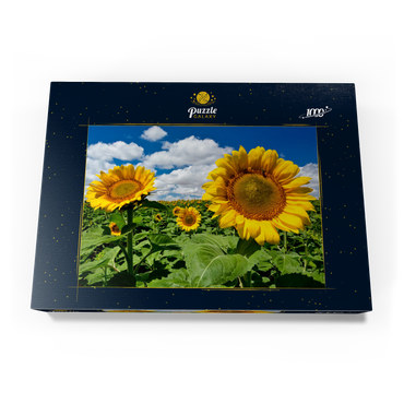 Sonnenblumenfeld 1000 Puzzle Schachtel Ansicht3