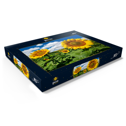 Sonnenblumenfeld 100 Puzzle Schachtel Ansicht1