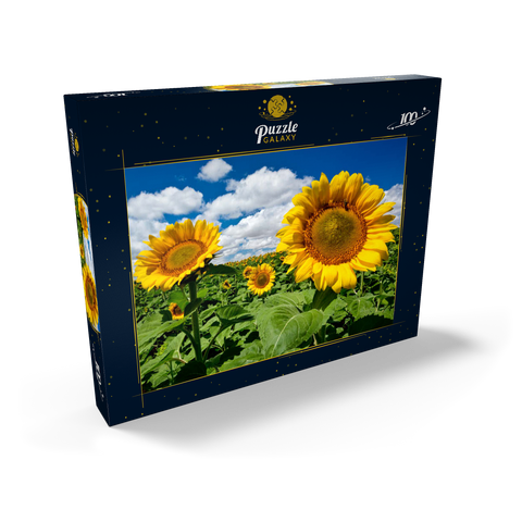 Sonnenblumenfeld 100 Puzzle Schachtel Ansicht2