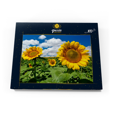 Sonnenblumenfeld 100 Puzzle Schachtel Ansicht3