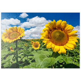 Darstellung des Puzzle Motivs Sonnenblumenfeld - Puzzleteile: 100