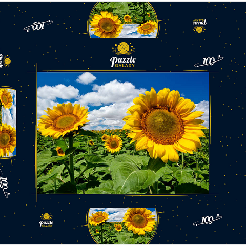 Sonnenblumenfeld 100 Puzzle Schachtel 3D Modell