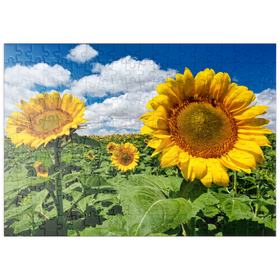 Darstellung des Puzzle Motivs Sonnenblumenfeld - Puzzleteile: 200