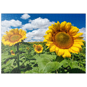 Darstellung des Puzzle Motivs Sonnenblumenfeld - Puzzleteile: 500
