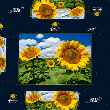 Sonnenblumenfeld 500 Puzzle Schachtel 3D Modell