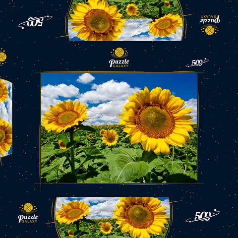 Sonnenblumenfeld 500 Puzzle Schachtel 3D Modell