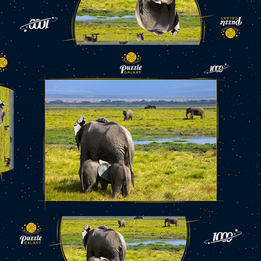 Elefanten (Loxodonta africana)  im Amboseli-Nationalpark 1000 Puzzle Schachtel 3D Modell